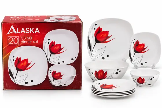 ALASKA 20 PIECES DINNER SET