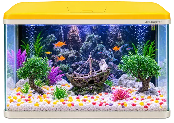 Aquarium Tank with Yellow Lid