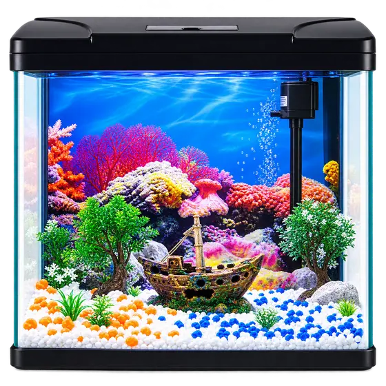 Aquarium Tank with Black Lid
