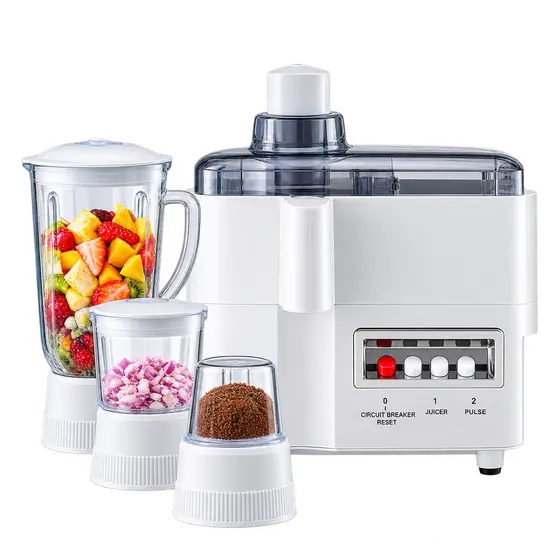 Electric juicer