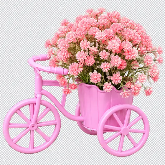 Pink Bicycle De