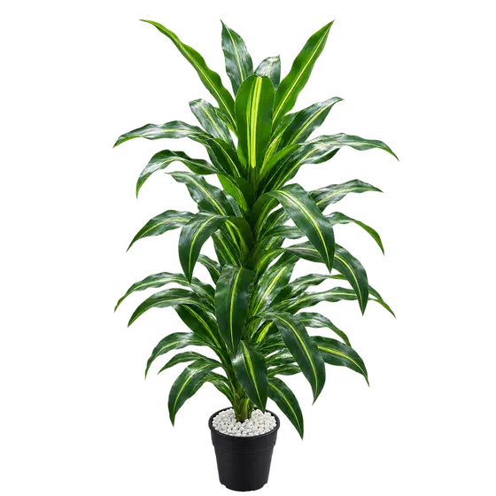 Artificial Dracaena Plant
