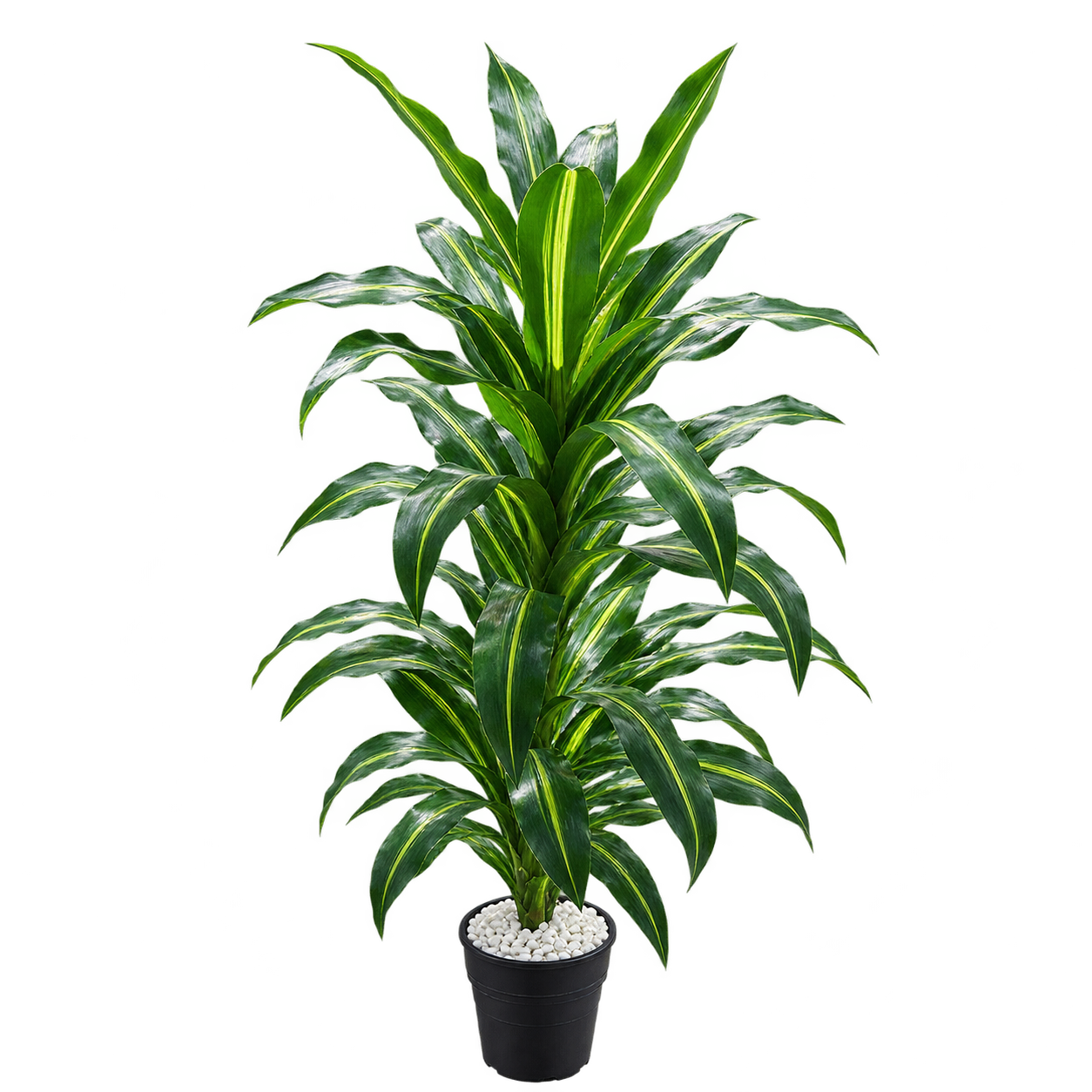 Artificial Dracaena Plant